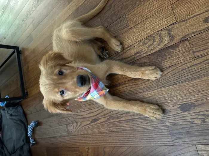 Oakley